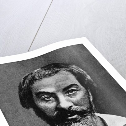 Walt Whitman, American poet by Anonymous