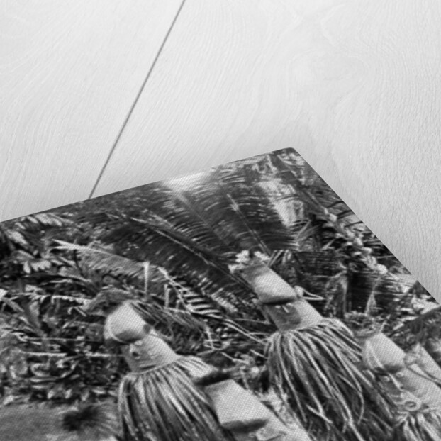 Masks possessing magical qualities, Bismarck Archipelago, Papua New Guinea by Strecker and Schroder