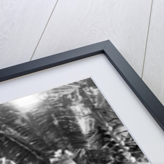 Masks possessing magical qualities, Bismarck Archipelago, Papua New Guinea by Strecker and Schroder