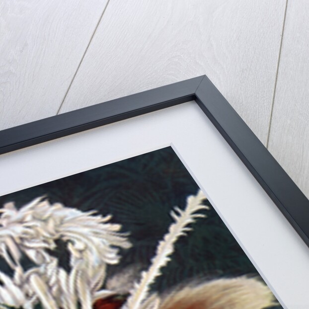 A Roro chief dressed for a ceremonial dance, Papua New Guinea by Charles Gabriel Seligman