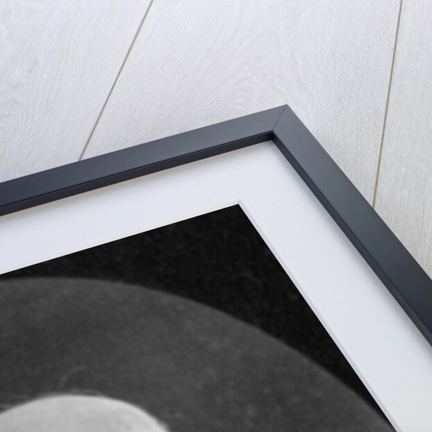 Jules Sandeau, French novelist by Anonymous