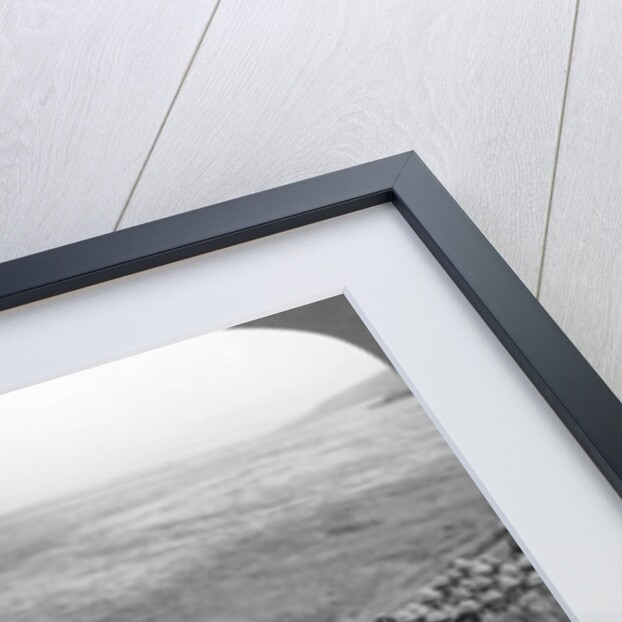 Gallipoli Campaign, World War I by Realistic Travels Publishers