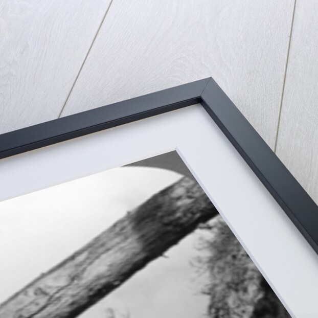 Trench warfare on the Wotan Line, Queant, France, World War I by Realistic Travels Publishers