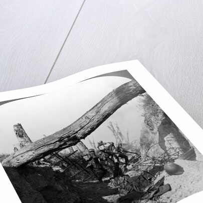 Trench warfare on the Wotan Line, Queant, France, World War I by Realistic Travels Publishers