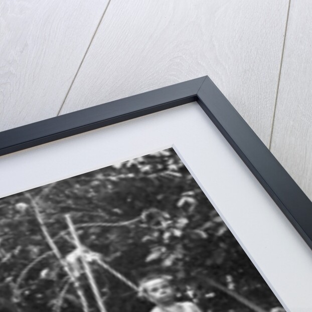 Indians of the Putumayo River with a decapitated head, Amazonia by Anonymous