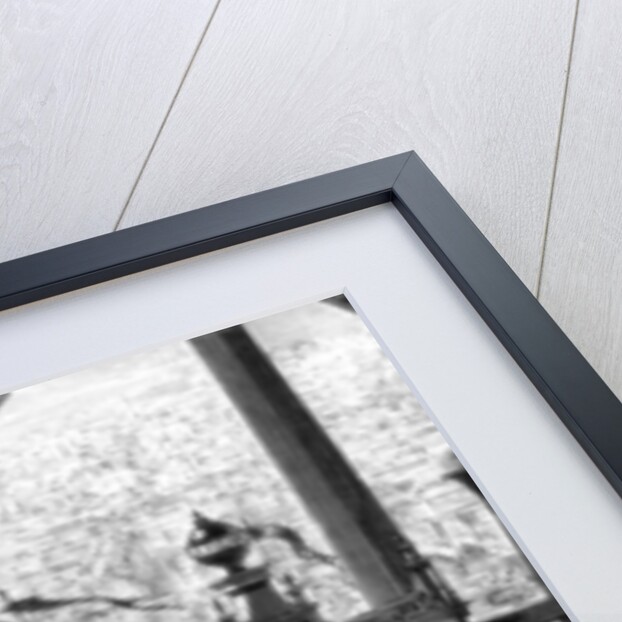 The pavilion of the Figaro, on the second storey of the Eiffel Tower, Paris by Anonymous