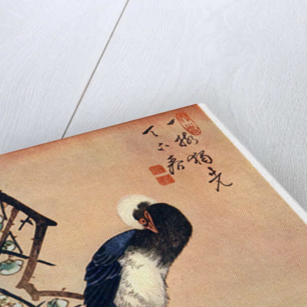 Long Tailed Blue Bird on Branch of Plum Tree in Blossom by Anonymous