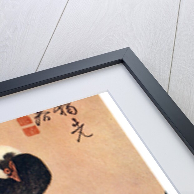 Long Tailed Blue Bird on Branch of Plum Tree in Blossom by Anonymous