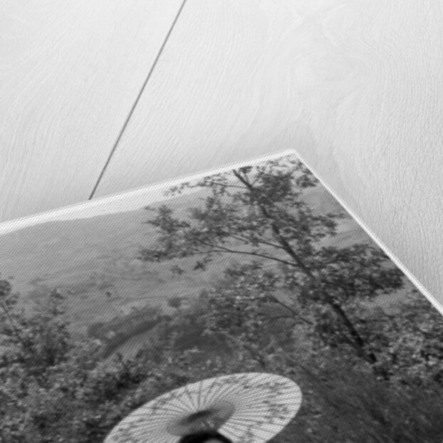 Woman under a parasol having a picnic by Anonymous