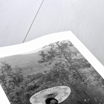 Woman under a parasol having a picnic by Anonymous