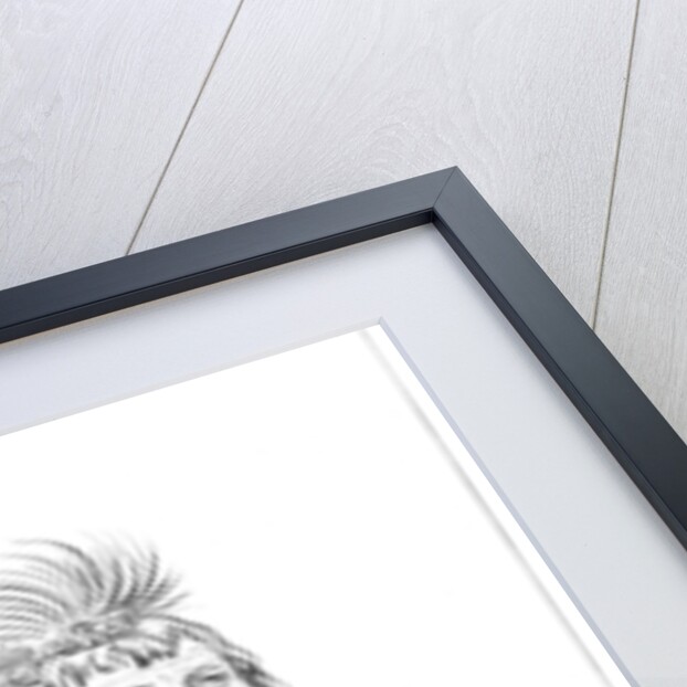 Sioux by Myers and Co