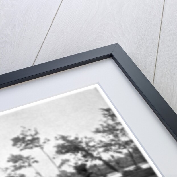 Raking a rice field, Japan by Anonymous