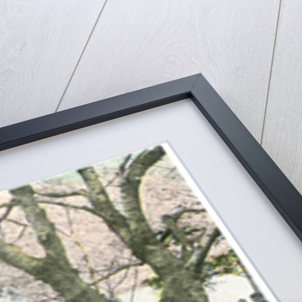 Lunch stand in a public park, Japan by Anonymous