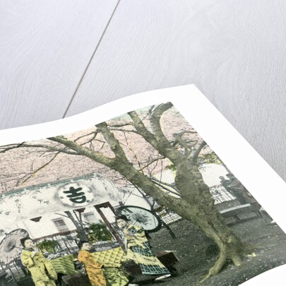 Lunch stand in a public park, Japan by Anonymous