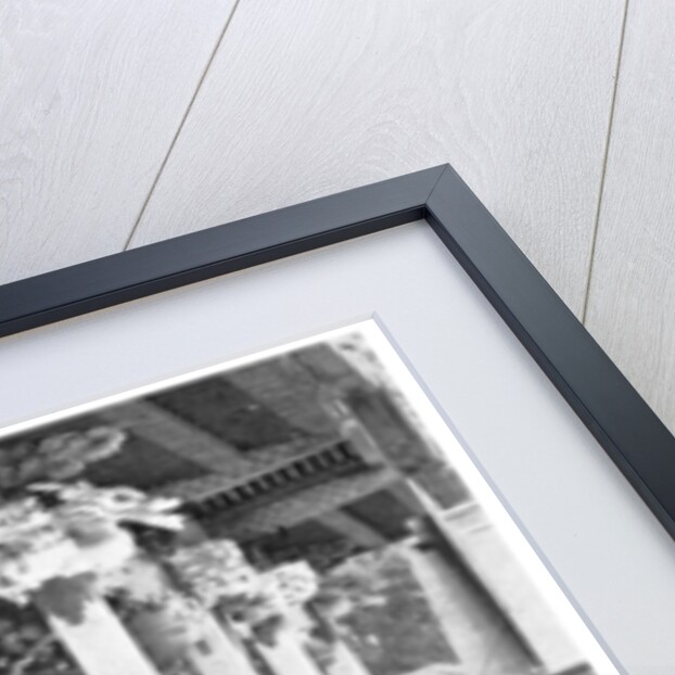 Ieyasu Temple, Japan by Anonymous