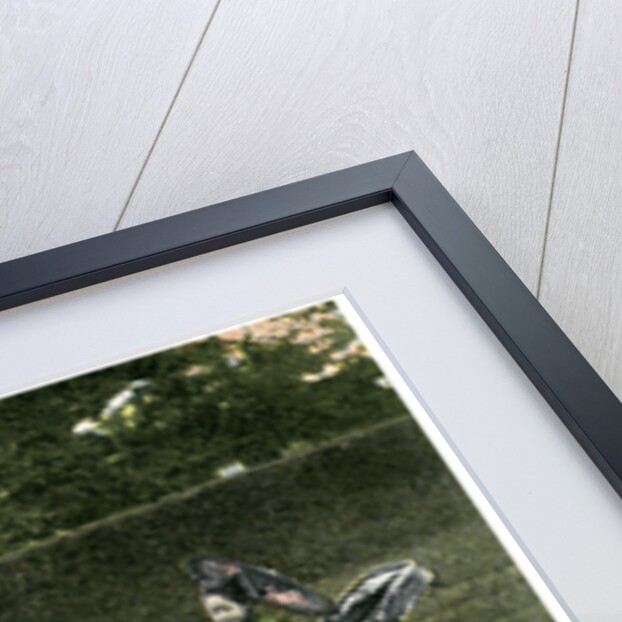 A street merchant, Japan by Anonymous