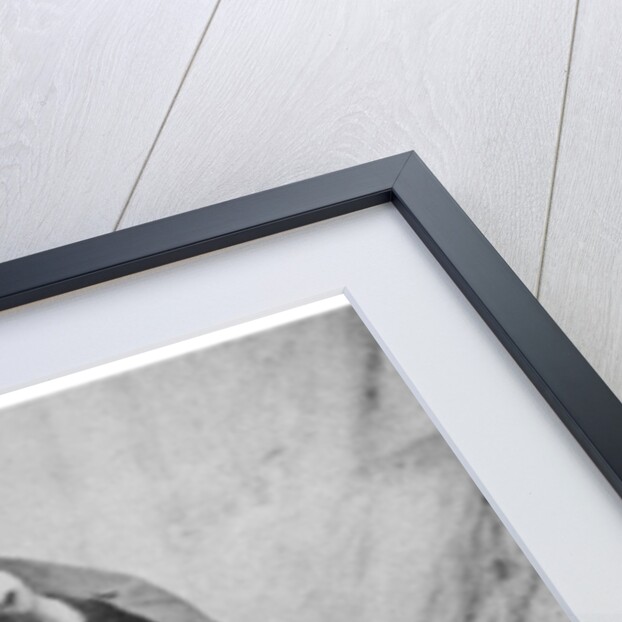 Roger Fenton, British photographer by Anonymous