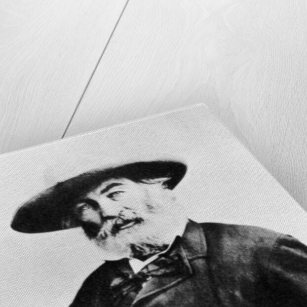 Walt Whitman, American poet by Anonymous