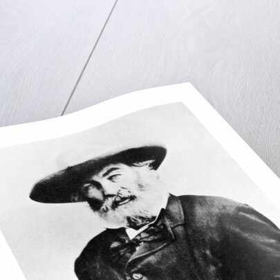 Walt Whitman, American poet by Anonymous