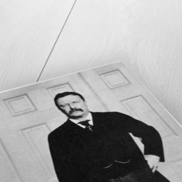 Theodore Roosevelt, 26th President of the United States by Anonymous