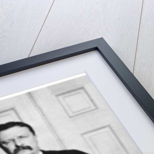 Theodore Roosevelt, 26th President of the United States by Anonymous