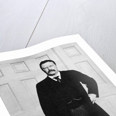 Theodore Roosevelt, 26th President of the United States by Anonymous