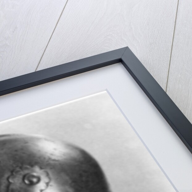 Visored sallet and bevor by Anonymous