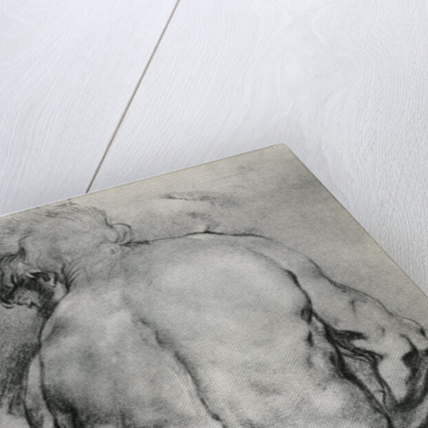 The Back of a Nude Man by Anonymous