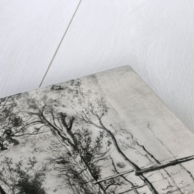 A Path Bordered by Trees by Anonymous