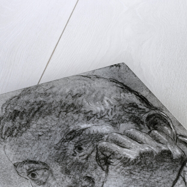 Head of a Youth by Anonymous