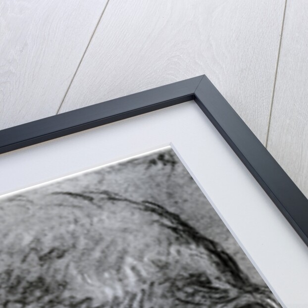 Head of a Youth by Anonymous