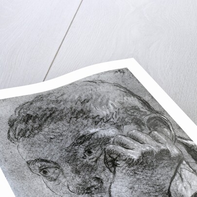 Head of a Youth by Anonymous