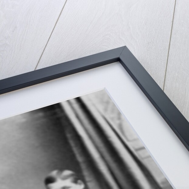 Prince Albert Victor and Prince George during the voyage of the 'Bacchante' by Herbert Numan