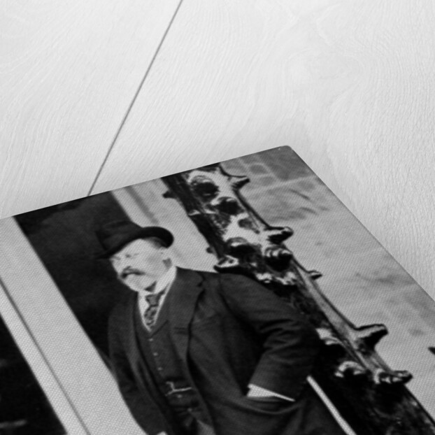 The Prince of Wales by Anonymous