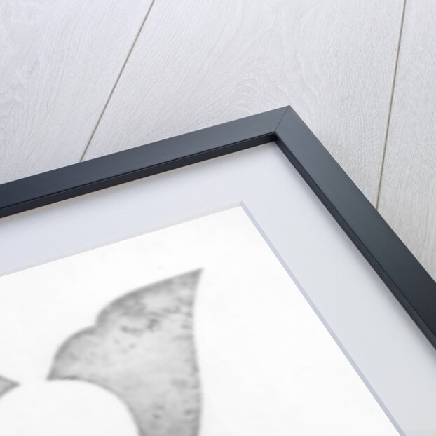 The armour of Yoshitsune by Anonymous