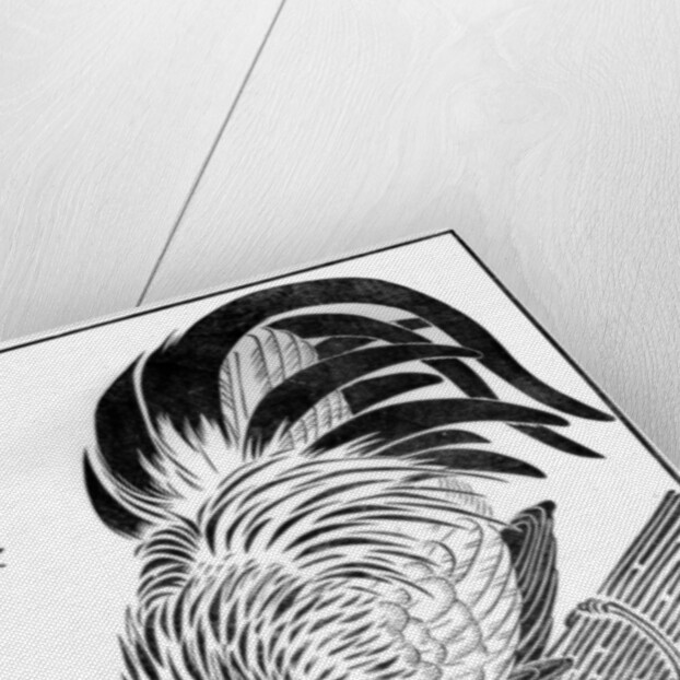 Cock by Anonymous