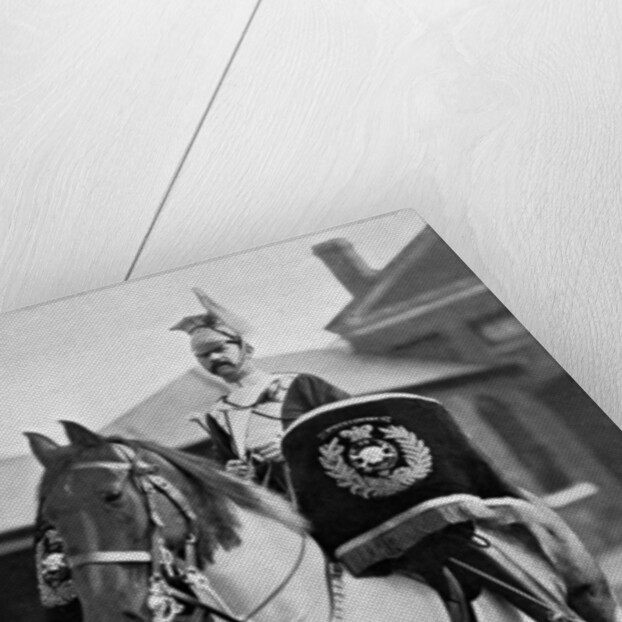 The drum horse of the 17th Lancers by Gregory & Co