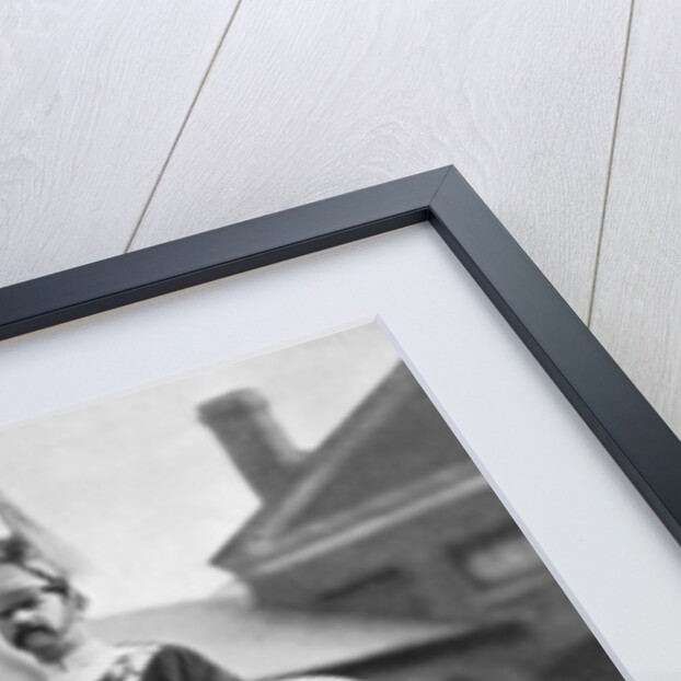 The drum horse of the 17th Lancers by Gregory & Co