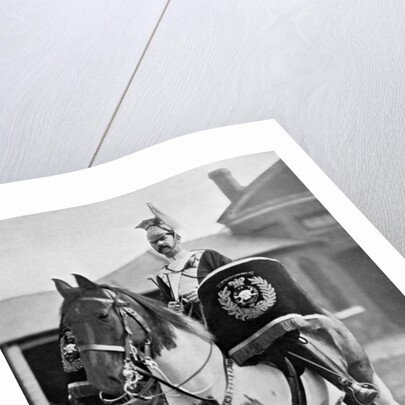 The drum horse of the 17th Lancers by Gregory & Co