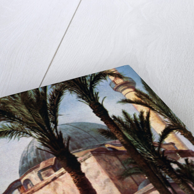 Jezzar Pasha mosque, Acre, Palestine by Donald McLeish