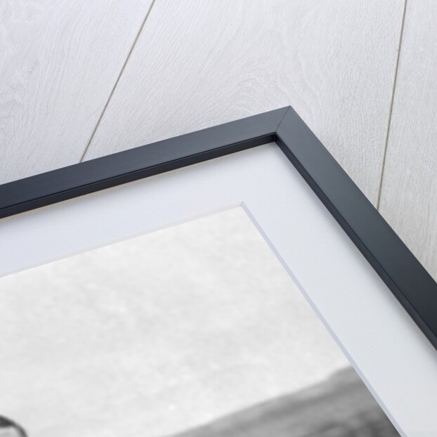 Captain Walter Edgeworth-Johnstone of the Royal Irish Regiment, Aldershot, Hampshire by Gregory & Co