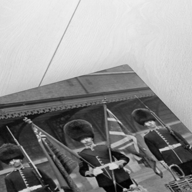 The colours and drums of the 2nd Grenadier Guards by J Thomson