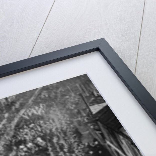 The passing of Queen Victoria by Elliott & Fry