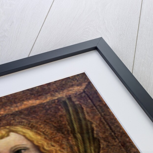 St Vitus by Master Theodoric