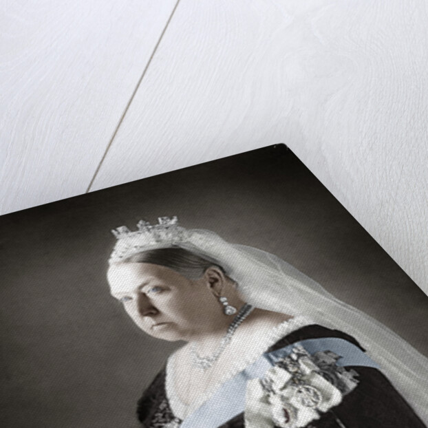 Queen Victoria of the United Kingdom by Anonymous