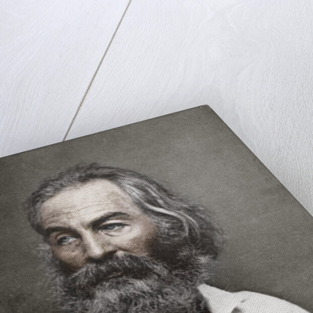Walt Whitman, American poet by Mathew Brady