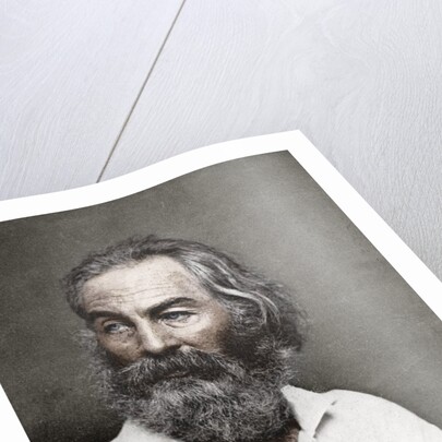 Walt Whitman, American poet by Mathew Brady