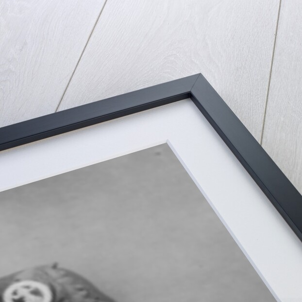 King Edward VII of the United Kingdom by Anonymous