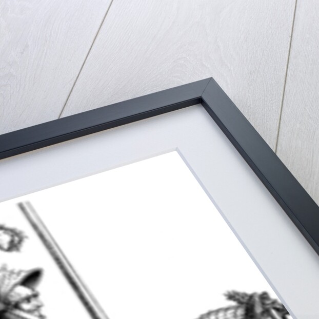 Triumphs of Maximilian by Anonymous