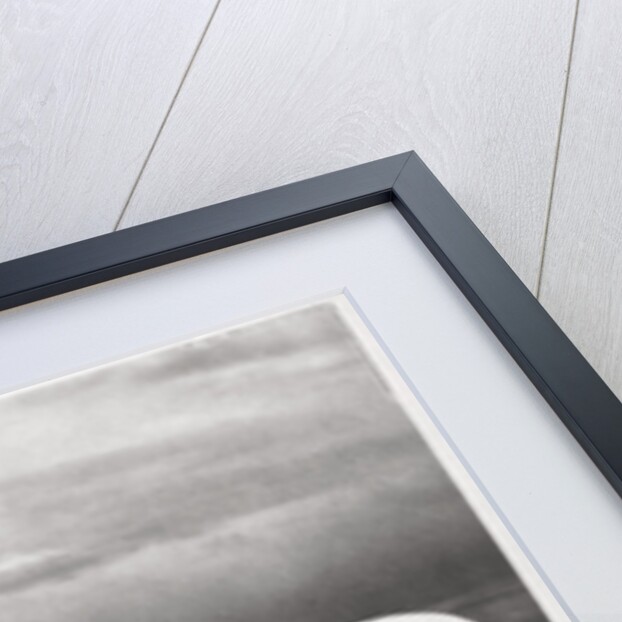 Zeppelin LZ4 by Anonymous